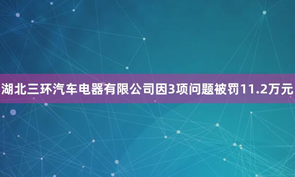 湖北三环汽车电器有限公司因3项问题被罚11.2万元