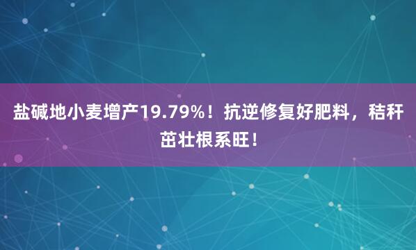 盐碱地小麦增产19.79%!抗逆修复好肥料,秸秆茁壮根系旺!