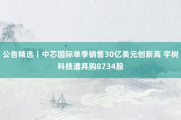 公告精选丨中芯国际单季销售30亿美元创新高 宇树科技遭弃购8734股