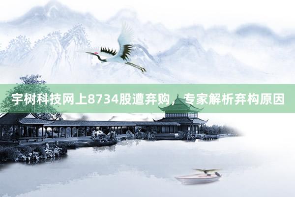 宇树科技网上8734股遭弃购，专家解析弃构原因