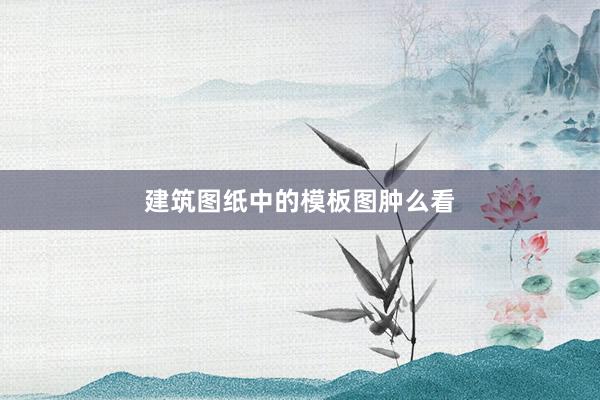 建筑图纸中的模板图肿么看