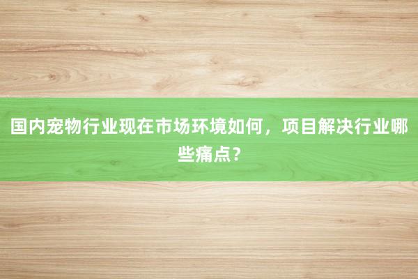 国内宠物行业现在市场环境如何，项目解决行业哪些痛点？