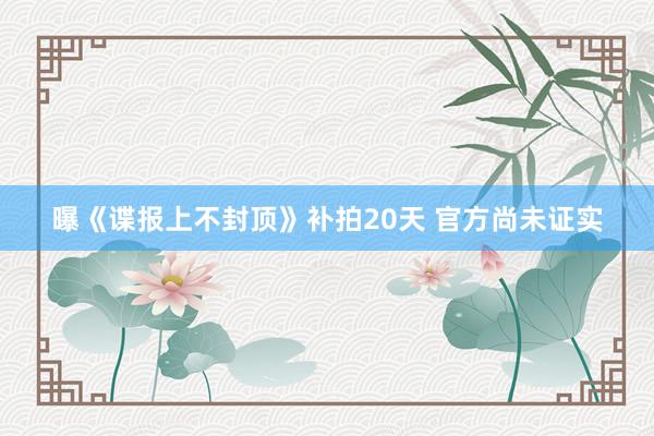 曝《谍报上不封顶》补拍20天 官方尚未证实