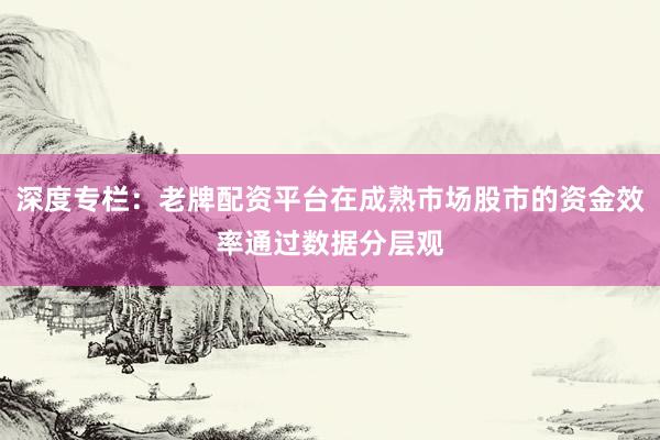 深度专栏：老牌配资平台在成熟市场股市的资金效率通过数据分层观