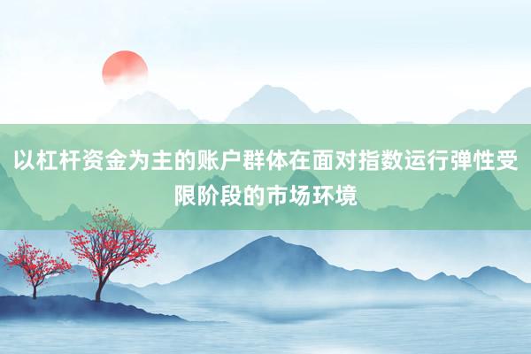 以杠杆资金为主的账户群体在面对指数运行弹性受限阶段的市场环境