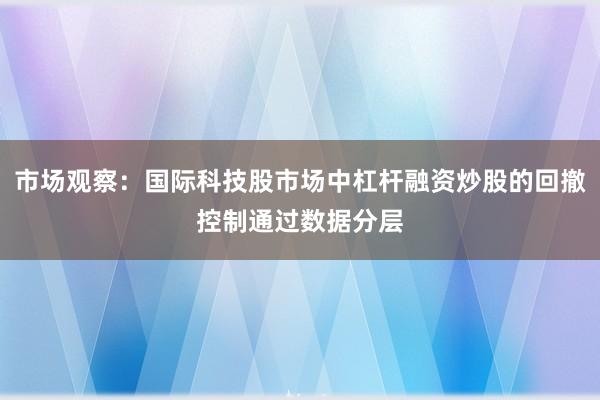 市场观察：国际科技股市场中杠杆融资炒股的回撤控制通过数据分层