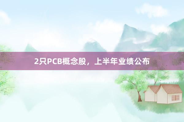 2只PCB概念股，上半年业绩公布