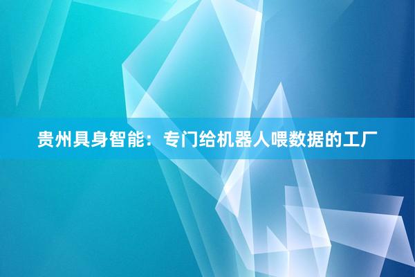 贵州具身智能：专门给机器人喂数据的工厂