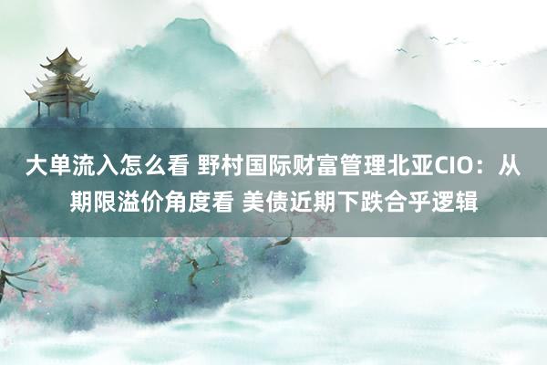 大单流入怎么看 野村国际财富管理北亚CIO：从期限溢价角度看 美债近期下跌合乎逻辑