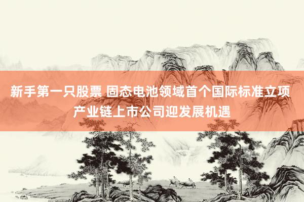 新手第一只股票 固态电池领域首个国际标准立项 产业链上市公司迎发展机遇