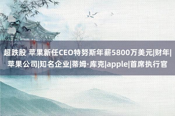 超跌股 苹果新任CEO特努斯年薪5800万美元|财年|苹果公司|知名企业|蒂姆·库克|apple|首席执行官