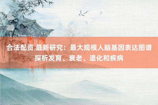 合法配资 最新研究：最大规模人脑基因表达图谱探析发育、衰老、退化和疾病