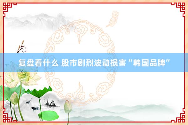 复盘看什么 股市剧烈波动损害“韩国品牌”
