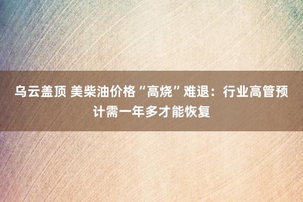 乌云盖顶 美柴油价格“高烧”难退：行业高管预计需一年多才能恢复
