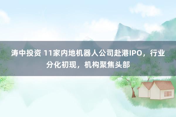涛中投资 11家内地机器人公司赴港IPO，行业分化初现，机构聚焦头部