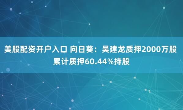 美股配资开户入口 向日葵：吴建龙质押2000万股 累计质押60.44%持股