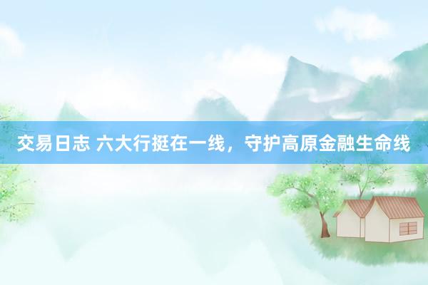 交易日志 六大行挺在一线，守护高原金融生命线